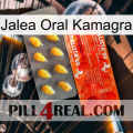 Oral Jelly Kamagra new01